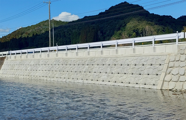 環境型レベロック